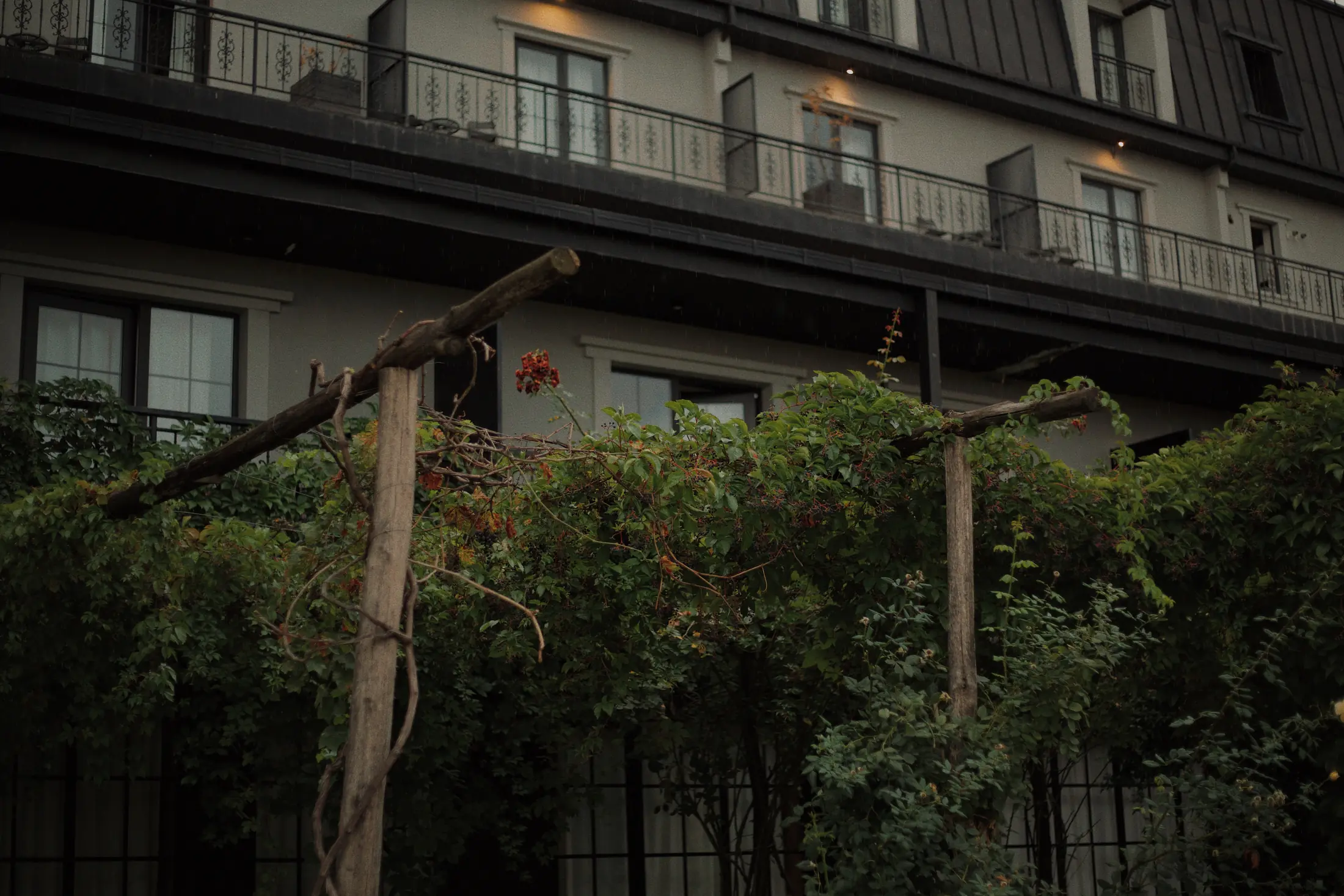 Hotel exterior and courtyard
