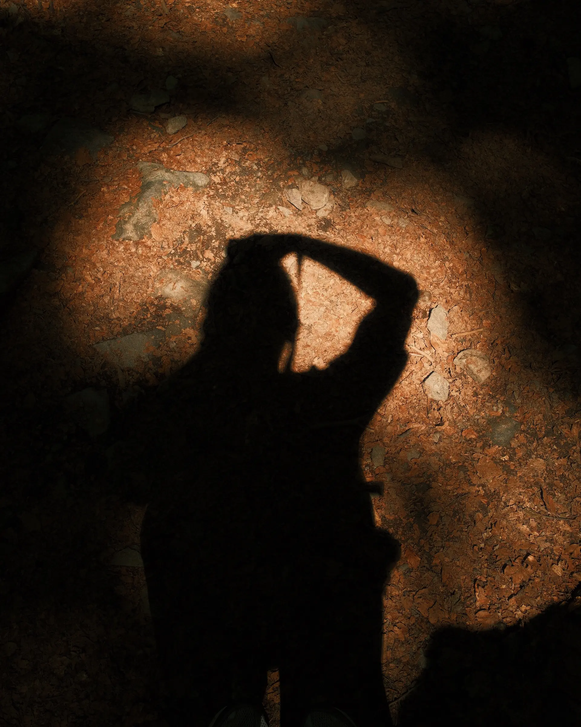 Levan Dackson, self-portrait in shadow