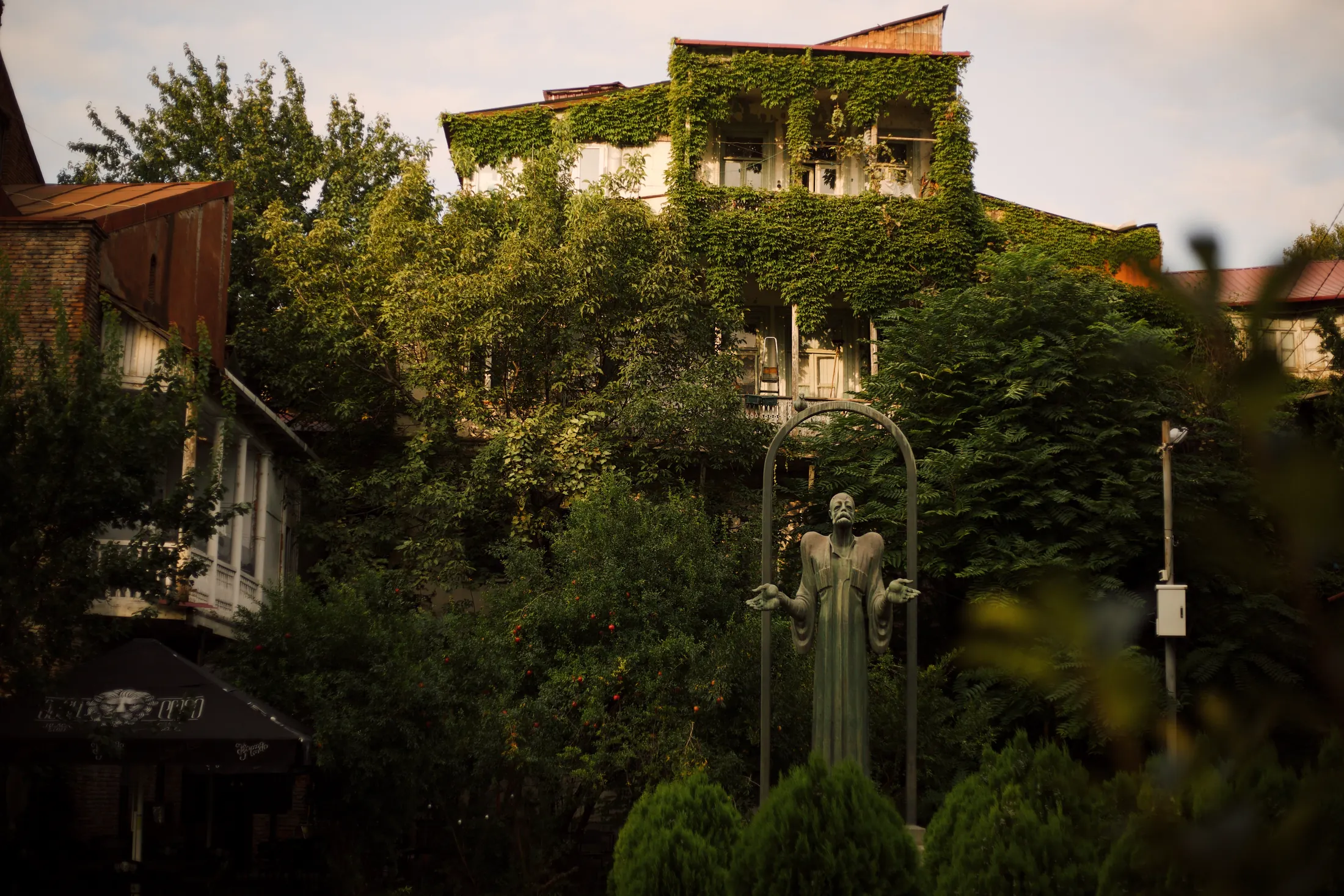 Statue in an overgrown garden
