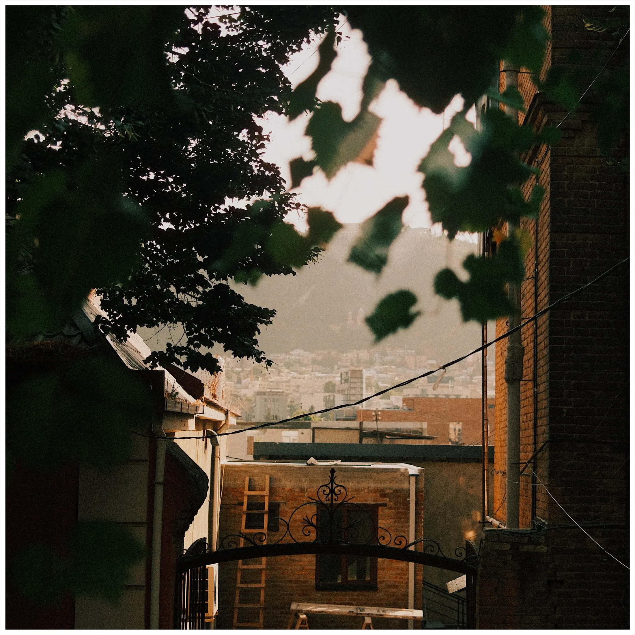 Tbilisi rooftops through the leaves